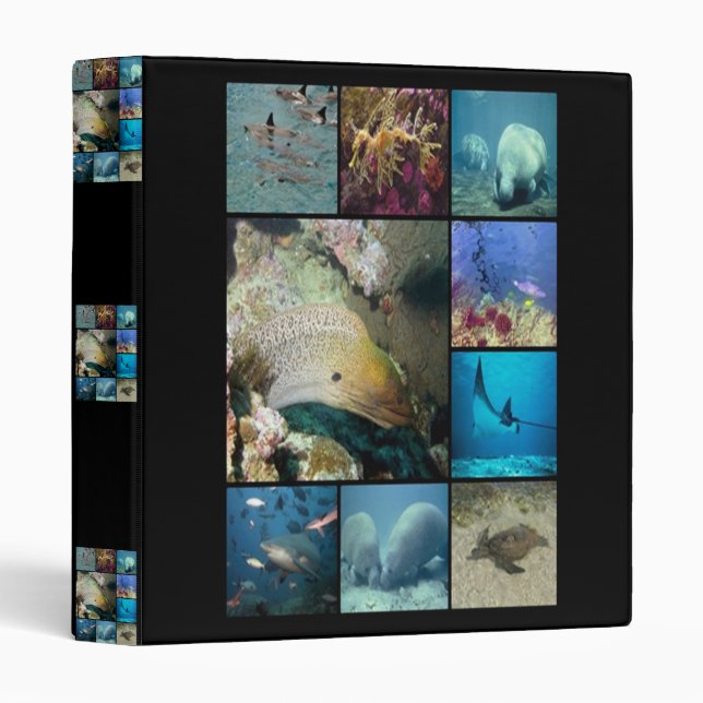 Sea creatures Avery Binder (Front/Spine)