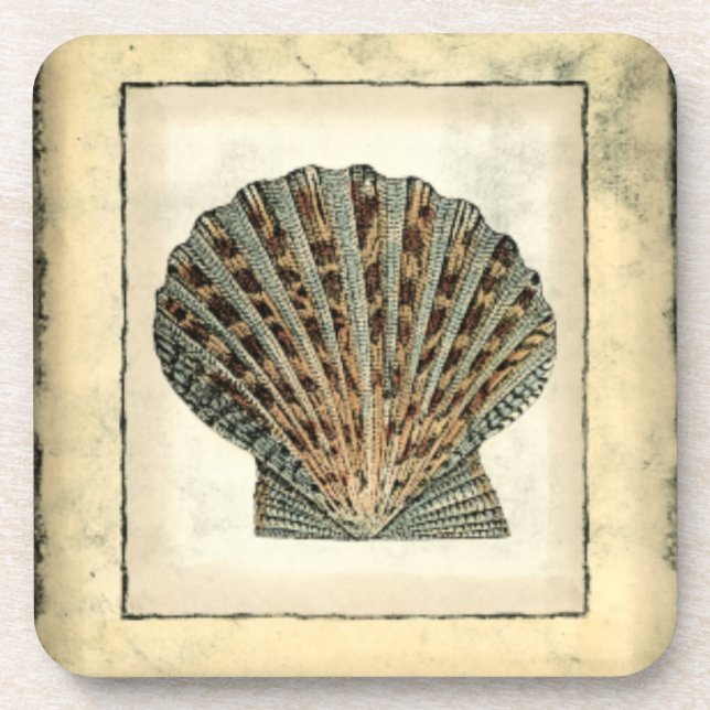 Sea Creatures by the Shore Beverage Coaster (Front)