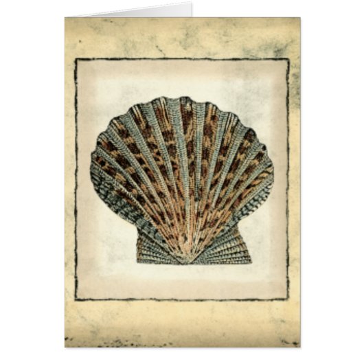 Sea Creatures by the Shore Cards (Front)