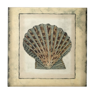 Sea Creatures by the Shore Ceramic Tile