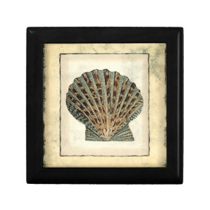 Sea Creatures by the Shore Keepsake Box