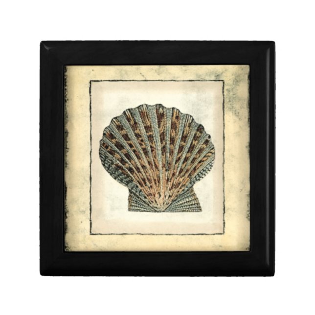 Sea Creatures by the Shore Keepsake Box (Front)