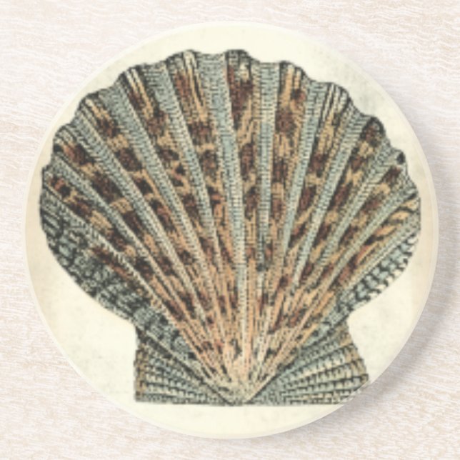 Sea Creatures by the Shore Sandstone Coaster (Front)