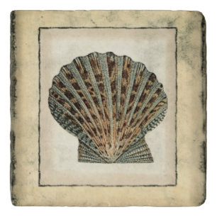 Sea Creatures by the Shore Trivet
