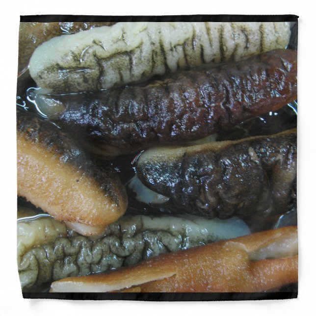 Sea Cucumber ... Yaowarat Market Food Bandana (Front)