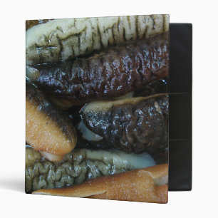 Sea Cucumber ... Yaowarat Market Food Binder