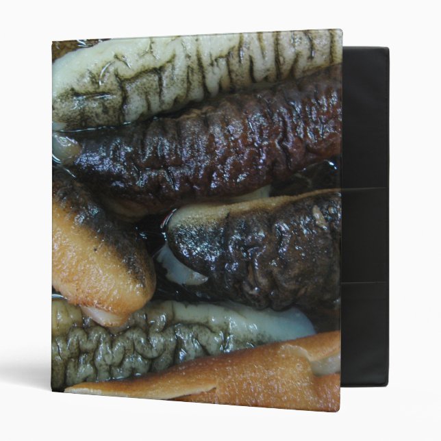Sea Cucumber ... Yaowarat Market Food Binder (Front/Inside)