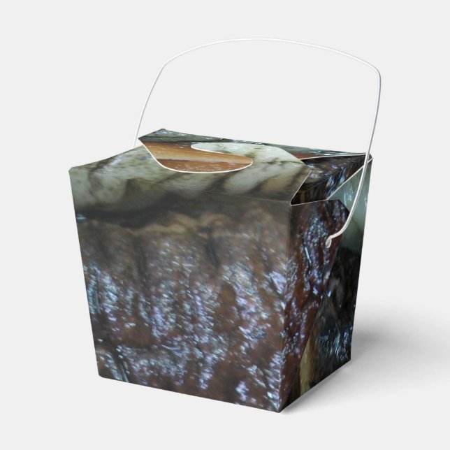 Sea Cucumber ... Yaowarat Market Food Favor Boxes (Front Side)