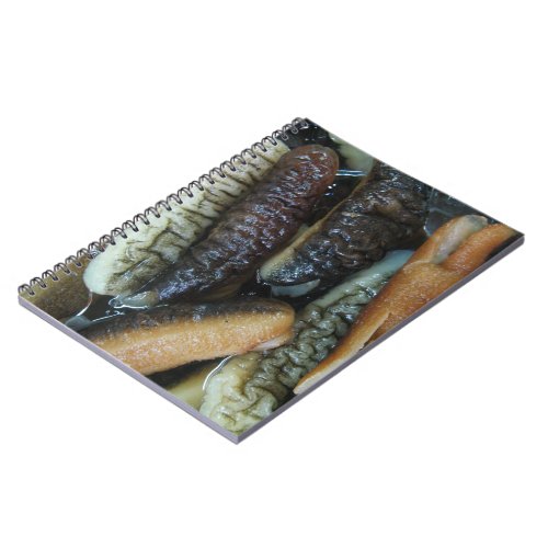 Sea Cucumber  Yaowarat Market Food Notebook