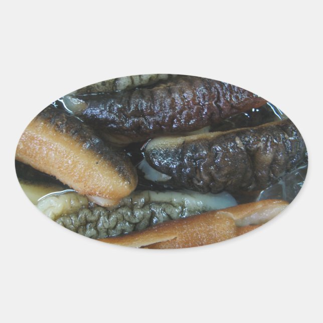 Sea Cucumber ... Yaowarat Market Food Oval Sticker (Front)