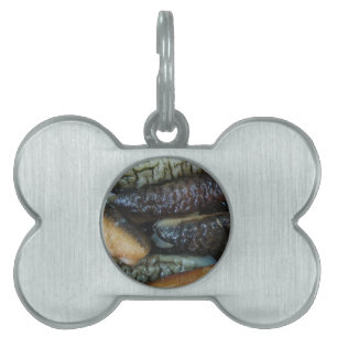 Sea Cucumber ... Yaowarat Market Food Pet Name Tag