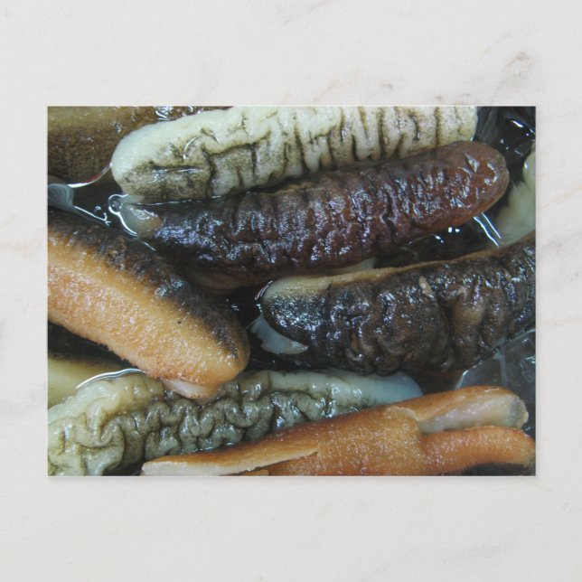 Sea Cucumber ... Yaowarat Market Food Postcard (Front)