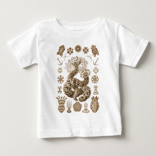 Sea Cucumbers Baby T-Shirt (Front)
