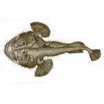 SEA DEVIL FISH - Coaster Statuette<br><div class="desc">SEA DEVIL FISH - One of the scariest fish in the ocean. This is one fish that deserves to be extinct. Imagine fishing and pulling in thsi beauty. This image comes from a genuine antique print from about 1800.  Another fine product from Ann T. Quarina Designs.</div>