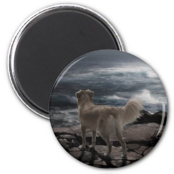 Sea Dog Magnet by CaptainScratch at Zazzle