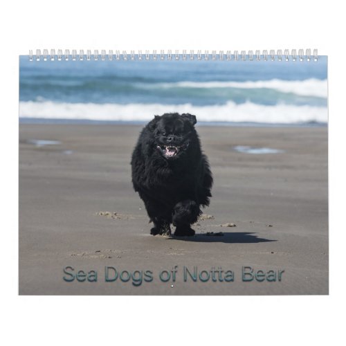 Sea Dogs of Notta Bear Calendar