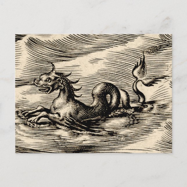 Sea Dragon at the Equator Postcard (Front)