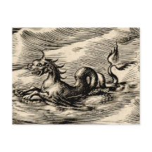 Sea Dragon at the Equator