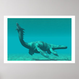 SEA DRAGON PRINT