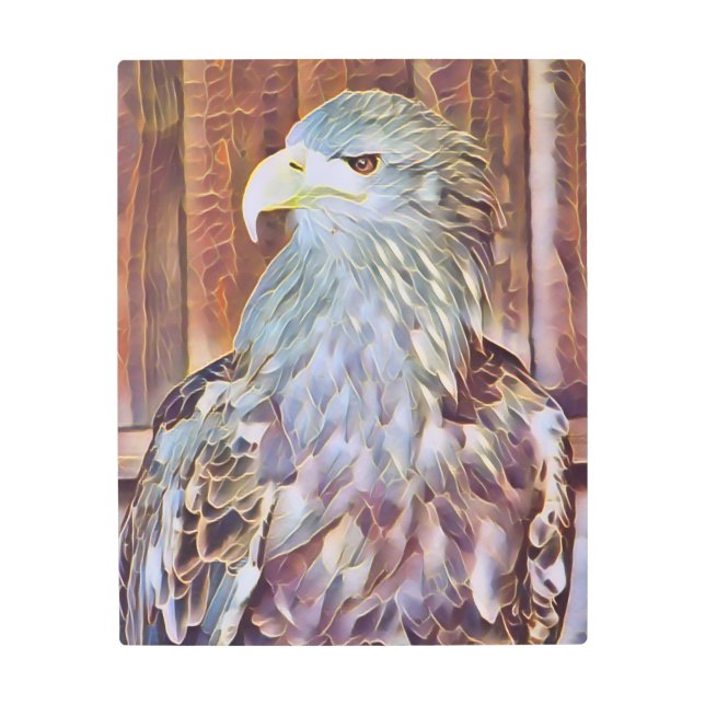SEA EAGLE METAL PRINT (Front)