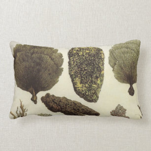 Sea Fan Nautical Design Sea Life Lumbar Pillow