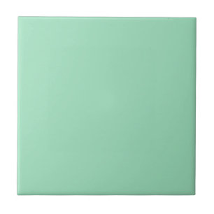 Sea Foam Green Ceramic Tile