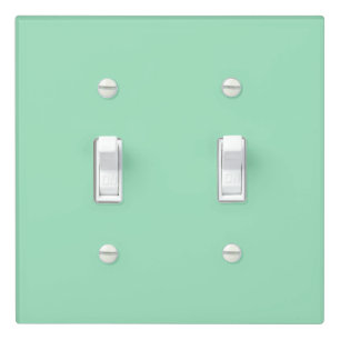 Sea Foam Green Double Toggle Light Switch Cover
