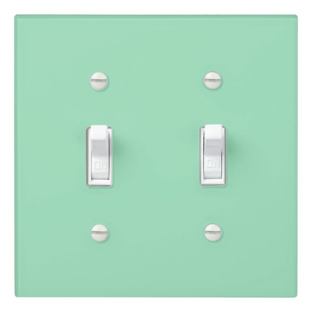 Sea Foam Green Double Toggle Light Switch Cover (In Situ)