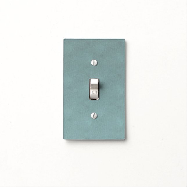 Sea Foam Light Switch Cover (In Situ)