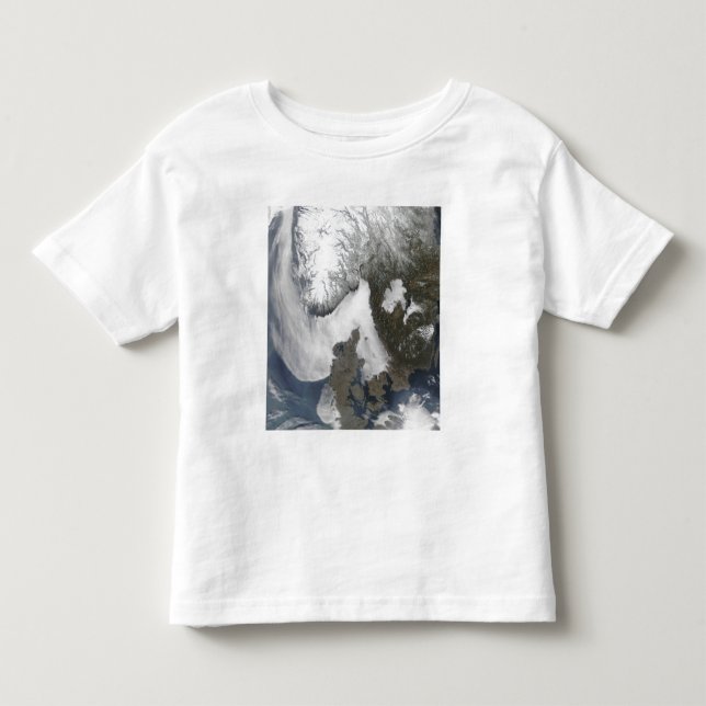 Sea Fog in Scandinavia Toddler T-shirt (Front)