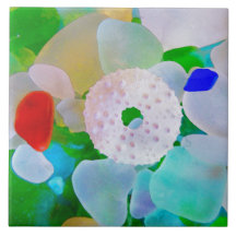 Sea Glass and Sea Urchin Shell