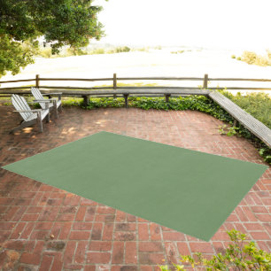 Sea Glass Green Color Minimalist Plain Design Outdoor Rug