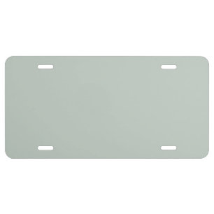 Sea Glass Green Solid Color License Plate