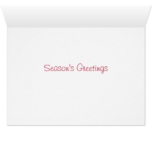 Sea Glass in the Snow (Inside Horizontal (Bottom))