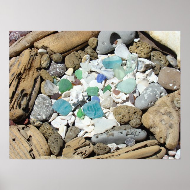 Sea Glass posters Beach Sea Shells Fossils Beach (Front)