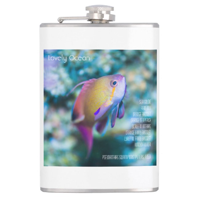 Sea goldie, colorful cute fish flask (Front)