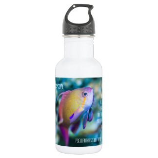 Sea goldie, colorful cute fish water bottle