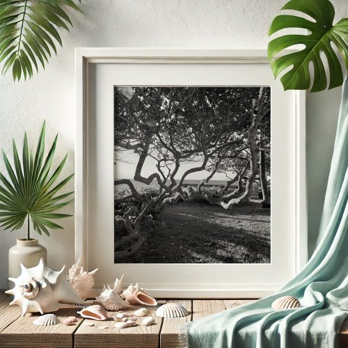 Sea Grapes Black and White Beach Pictures Poster