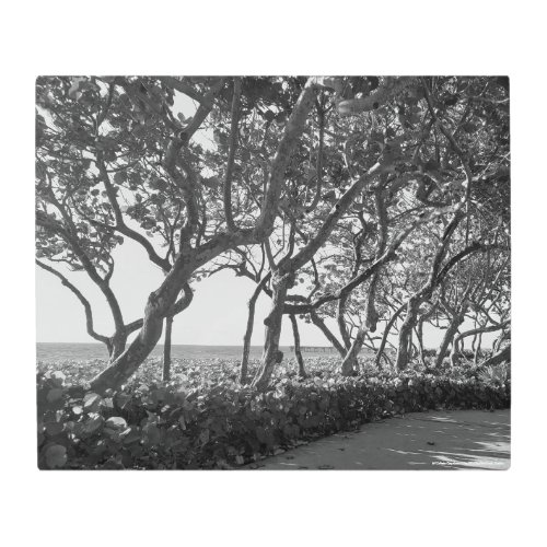 Sea Grapes Wall Art Jupiter Beach