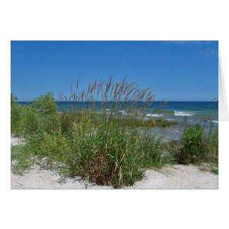 Sea Grass along the seashore Cards
