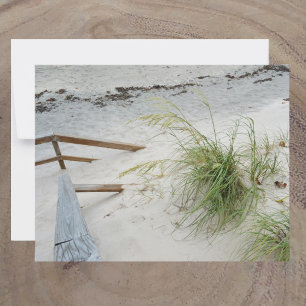 Sea Grass and  White Sand Dune Beach Photographic Note Card