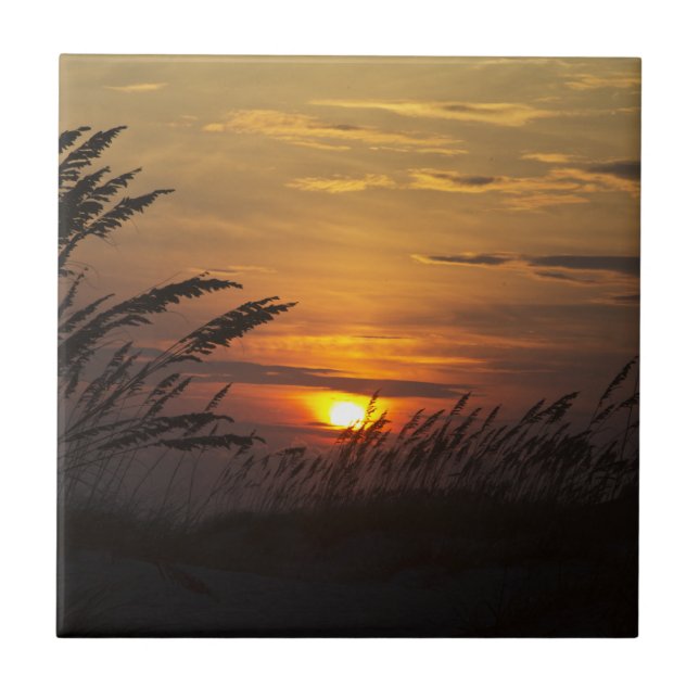 Sea Grass Sunset Ceramic Tile (Front)
