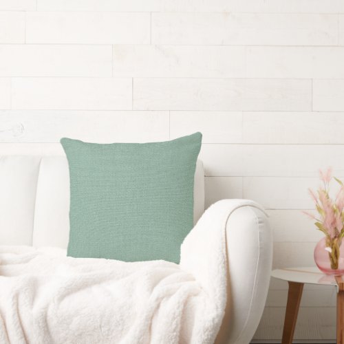 Sea Green Chenille Throw Pillow