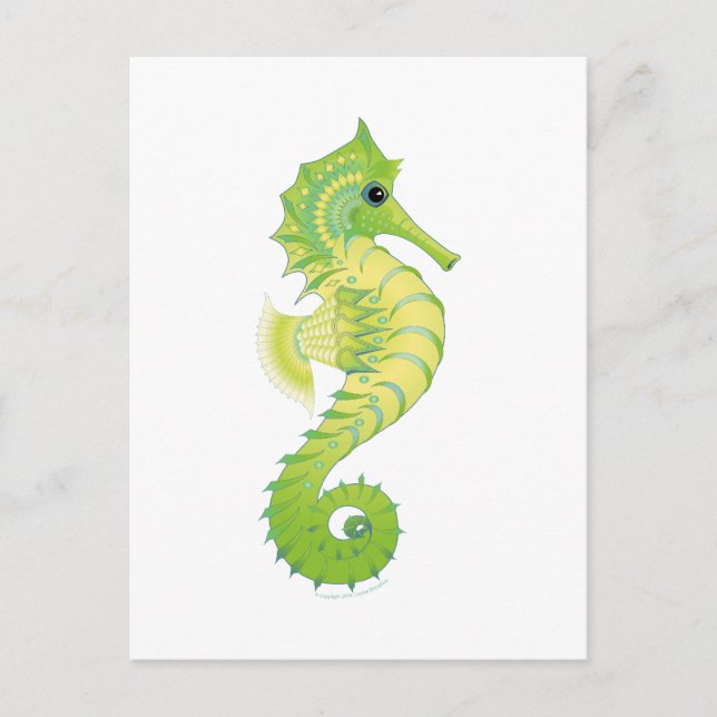 Sea Green Filly Postcard (Front)
