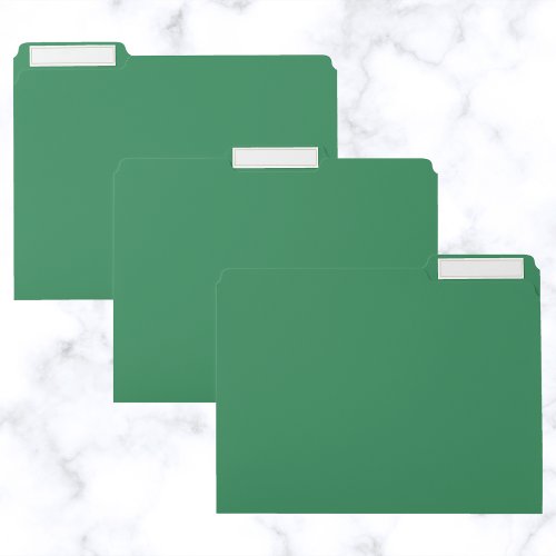 Sea Green Solid Color File Folder