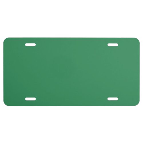Sea Green Solid Color License Plate