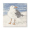 SEA GULL magnet (square)