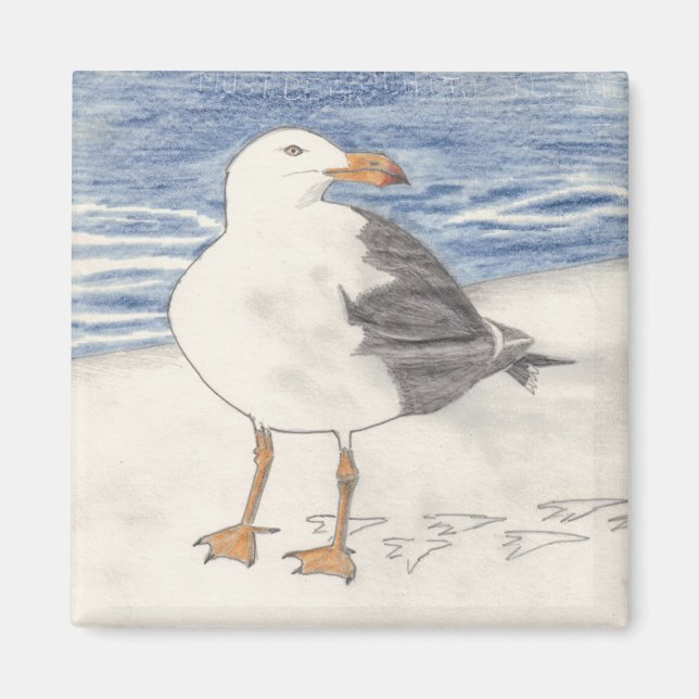 SEA GULL magnet (square) (Front)