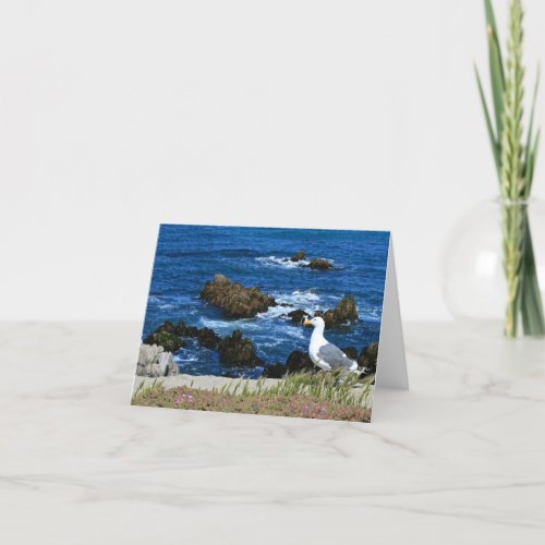 Sea Gull on Pacific Coast Blank Note Card