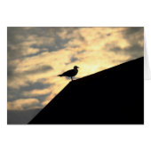 Sea Gull Sunset (Front Horizontal)